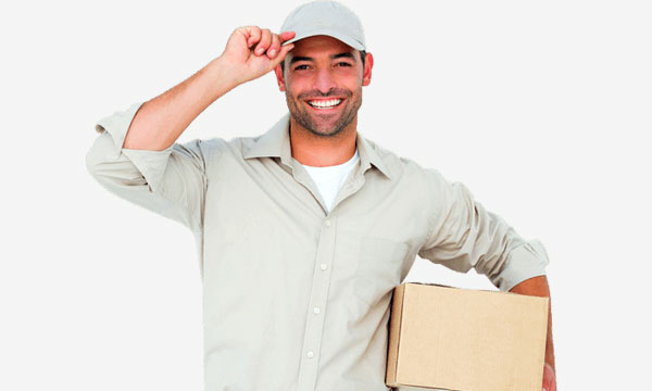 DTDC Shifting Service